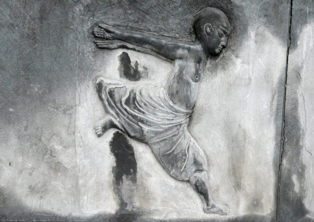 Qi Gong Wu Qin Xi